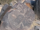 PICTURES/Three River Petroglyphs/t_IMG_3978.jpg